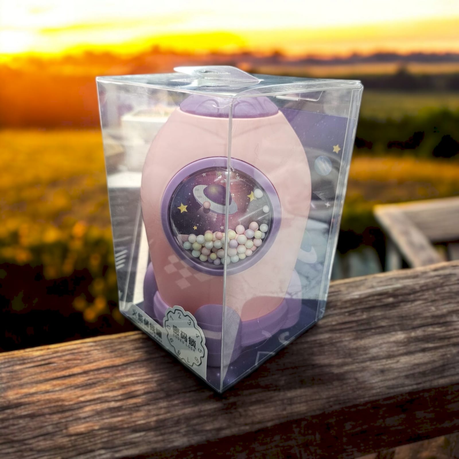 Space Dream Piggy Bank