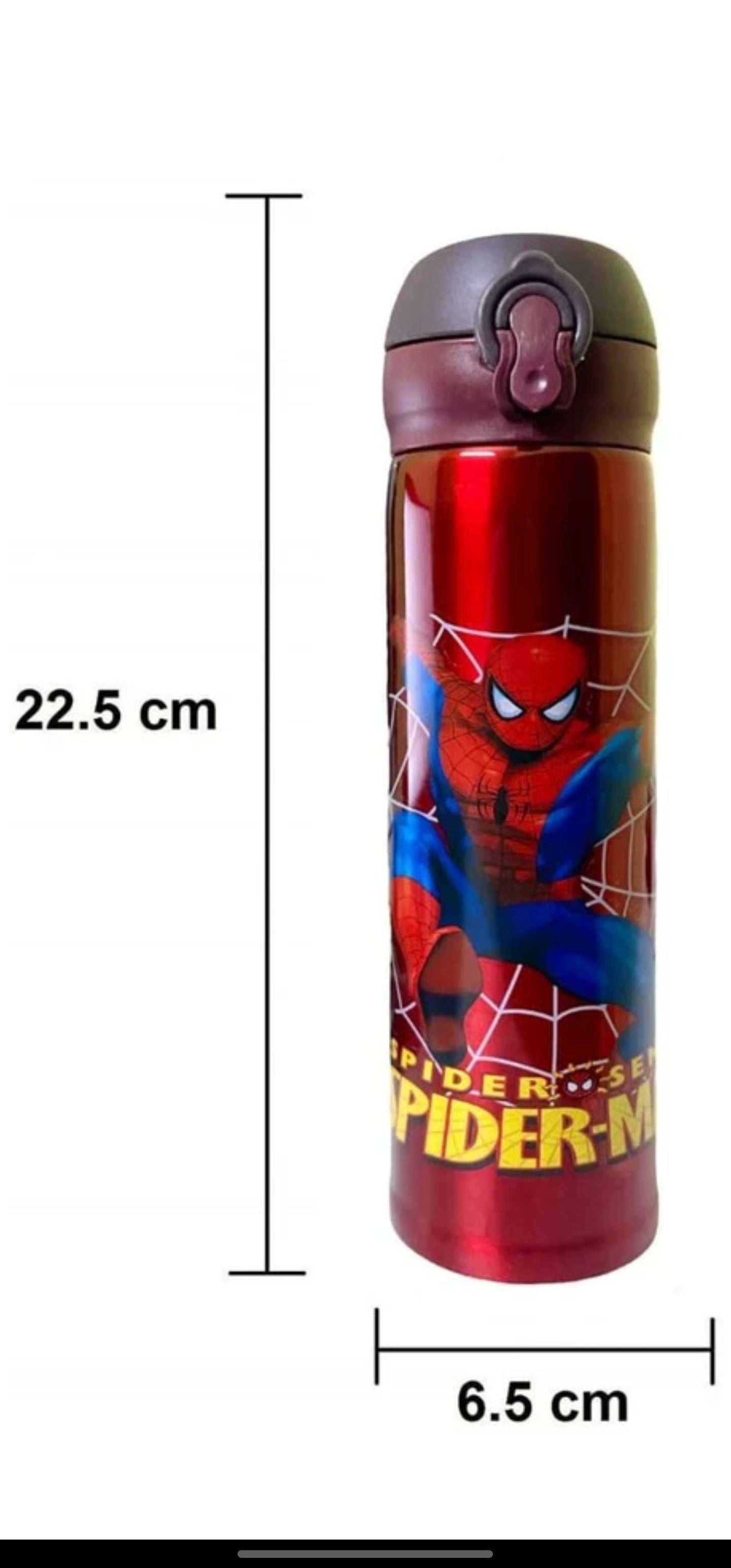 Stainless Steel water Bottles for Kids