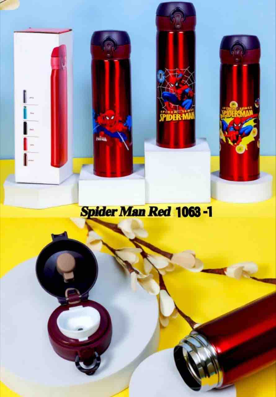 Stainless Steel water Bottles for Kids